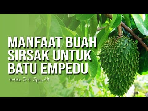 📚 MANFAAT BUAH SIRSAK UNTUK BATU EMPEDU - 🎙  Ir. H. Safirin, MM حفظه الله تعالى