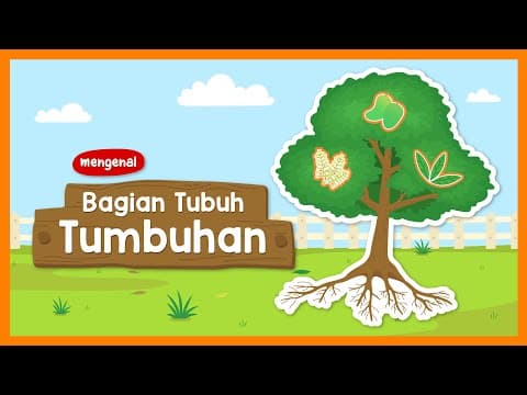 [CUPLIKAN] Belajar Kosakata: Mengenal Bagian-Bagian Tumbuhan dan Fungsinya @YufidKids